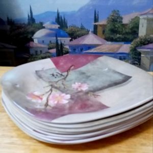 Merritt Set 8 Floral Pink&Gray Melamine Outdoor 10" Plates,🆕WOT,Nice Gift.🍜🍕